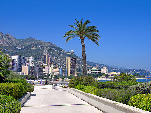 Fotos Monte-Carlo | Monte Carlo